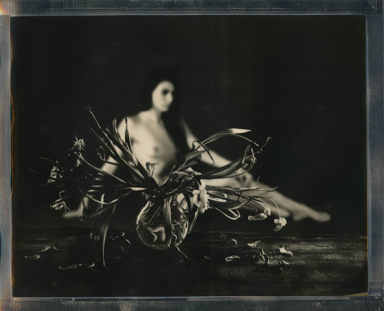 Akt mit Blumen - Polaroid 8x10, Sinar P2