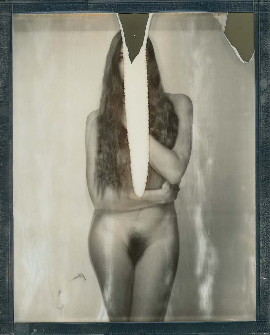 Aktfotografie Flora - Polaroid 8x10, Sinar P2