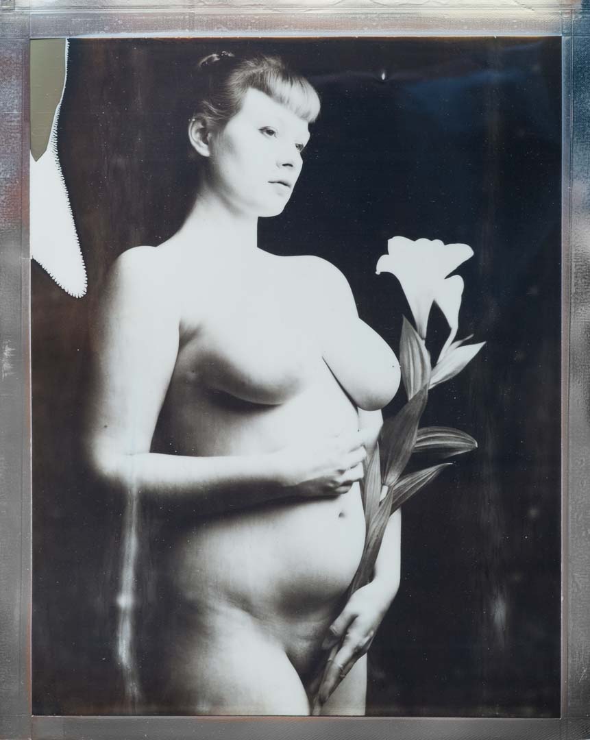 Woman with Flower - Polaroid 8x10, Sinar P2