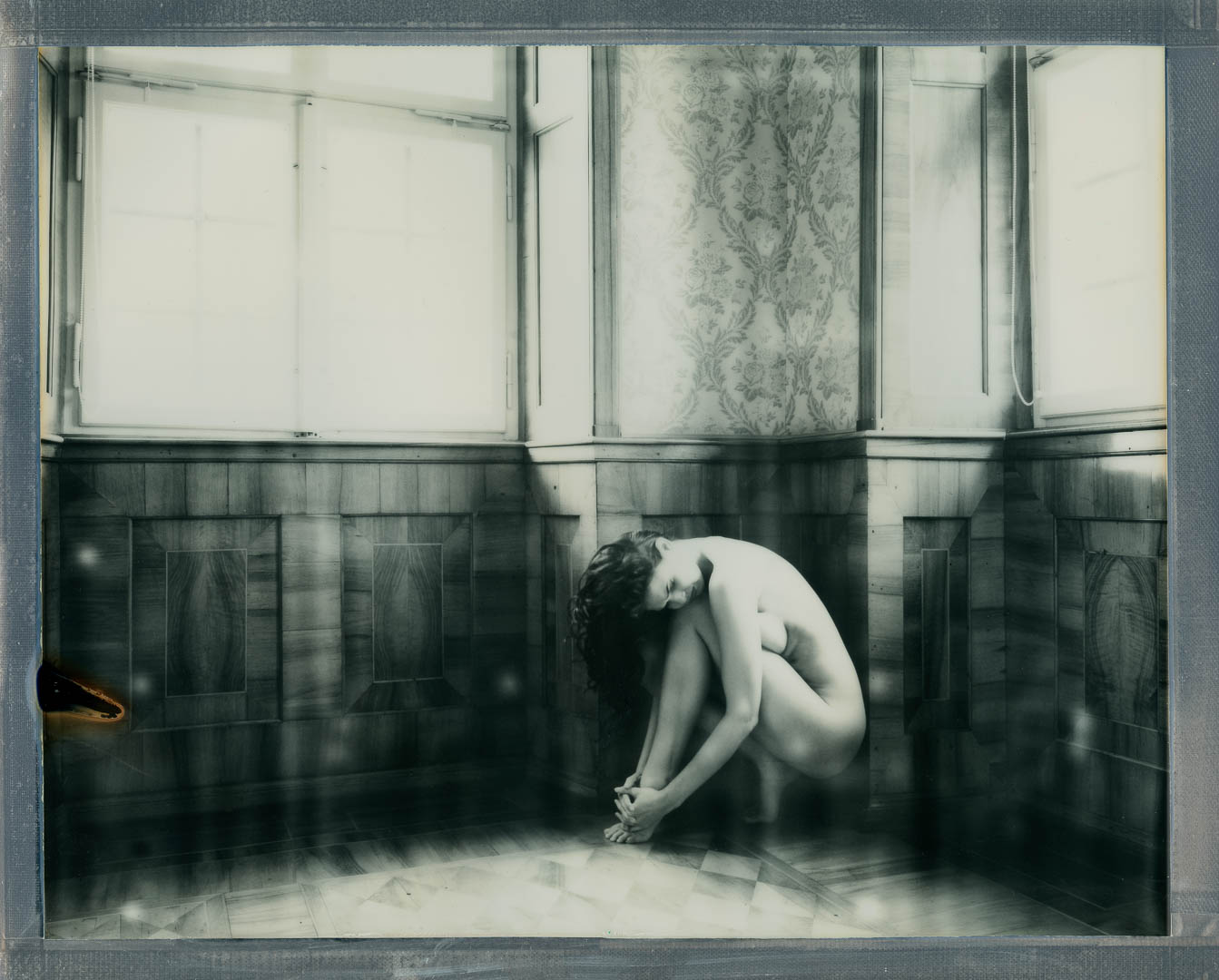 Aktfotografie Zoi - Polaroid 8x10, Zone VI