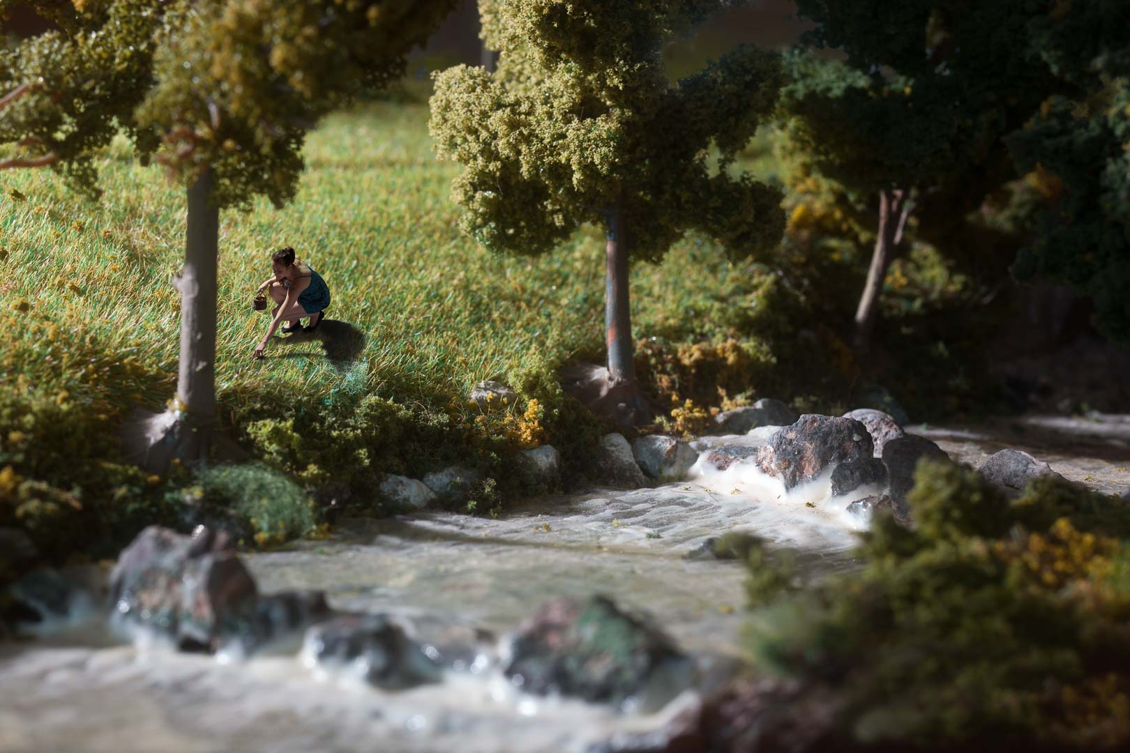 Bildserie So Real - Ernte