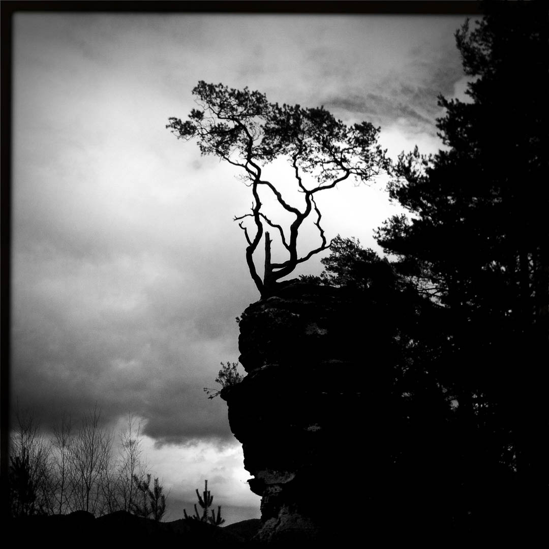 Lämmerfelsen in der Pfalz. Die Seele der Landschaft.