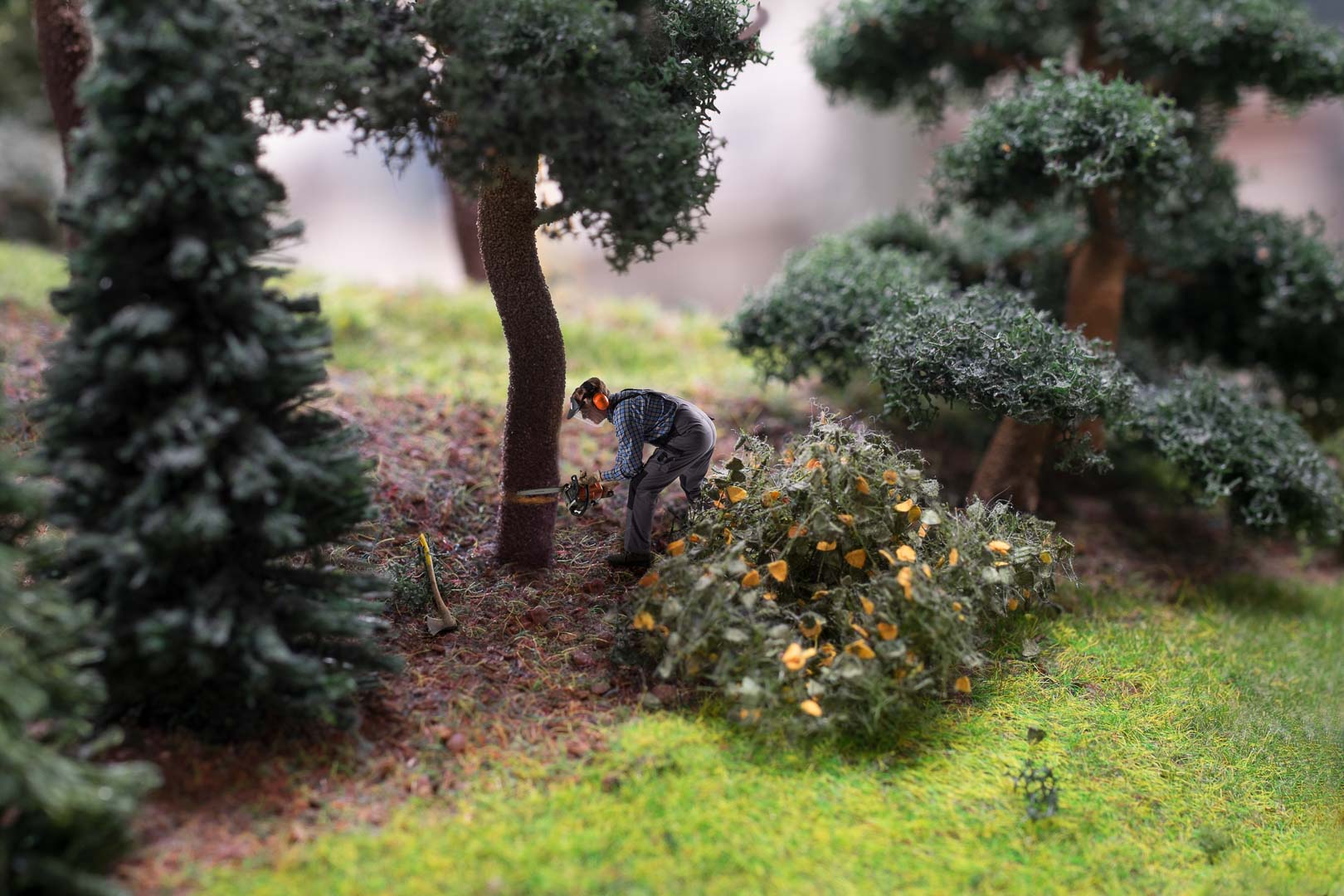 Bildserie So Real - Mein Freund, der Baum