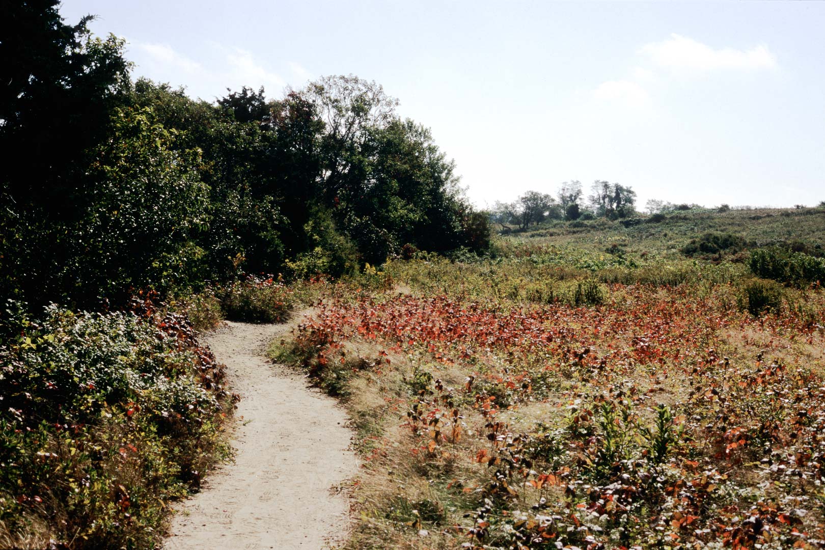 Monet hätte mehr draus gemacht. Bildserie Epische Landschaften. Contax G2 mit Fuji Astia
