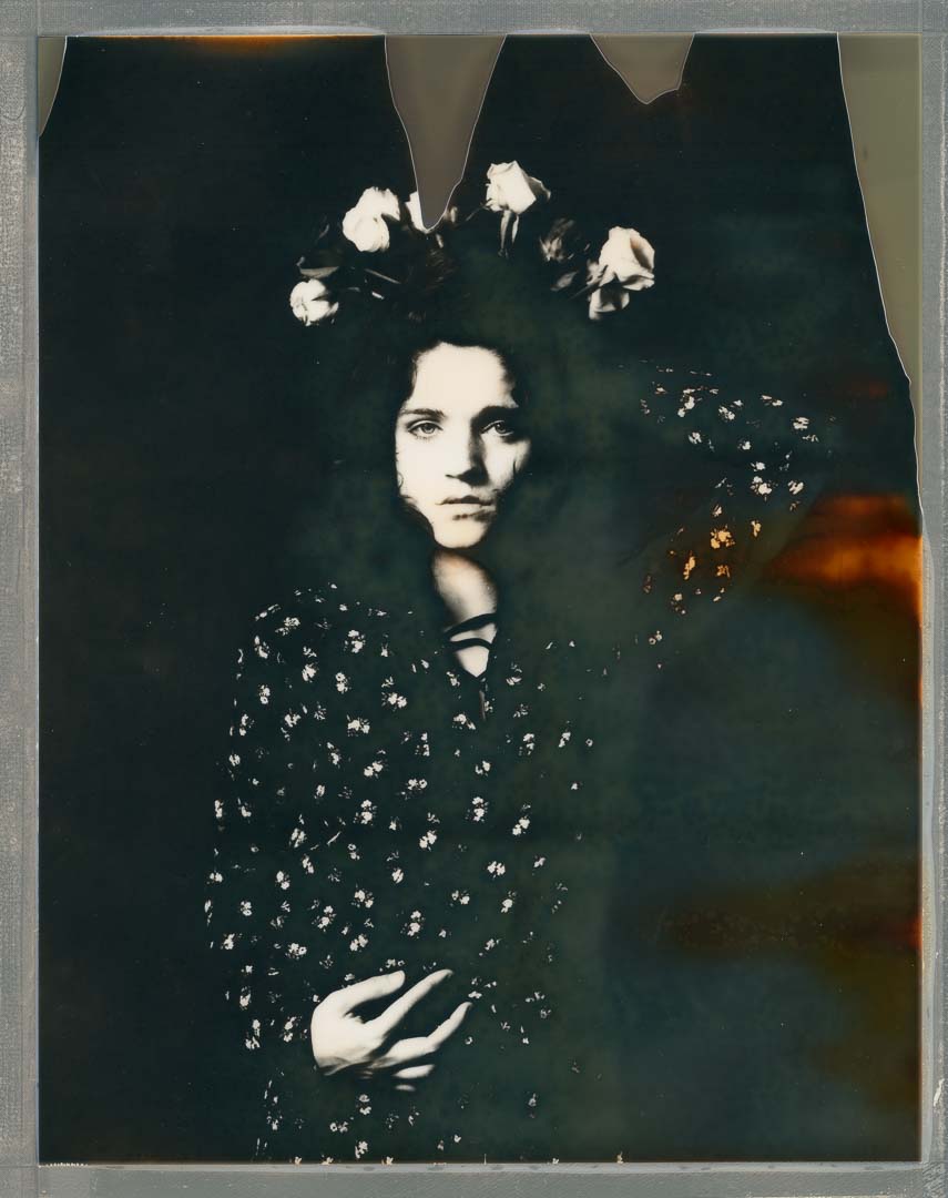 Roses - Polaroid 8x10, Sinar P2