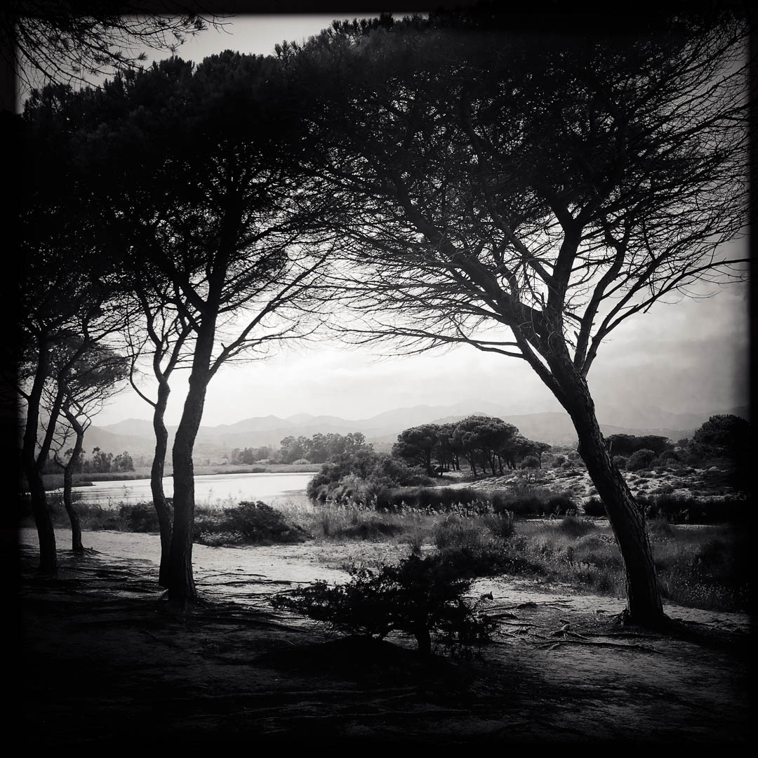 Pineta in Sardinien. Die Seele der Landschaft.