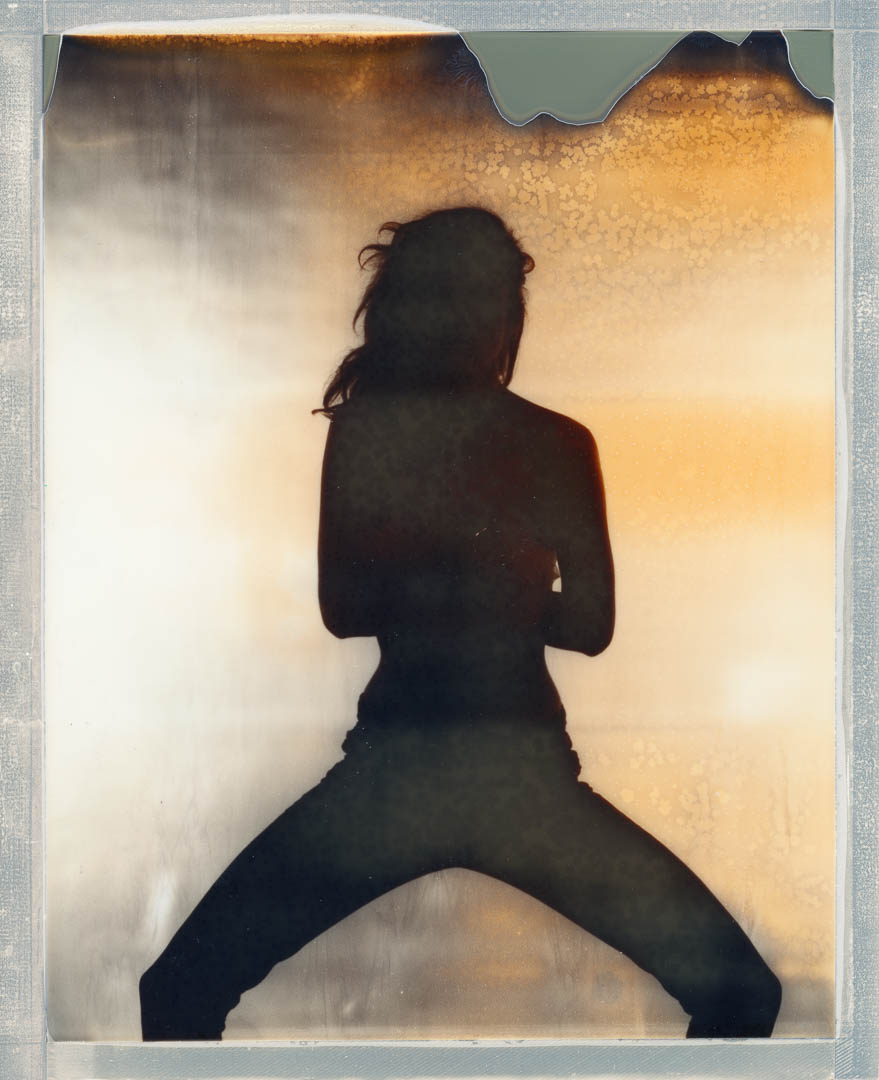 Silhouette - Polaroid 8x10, Sinar P2