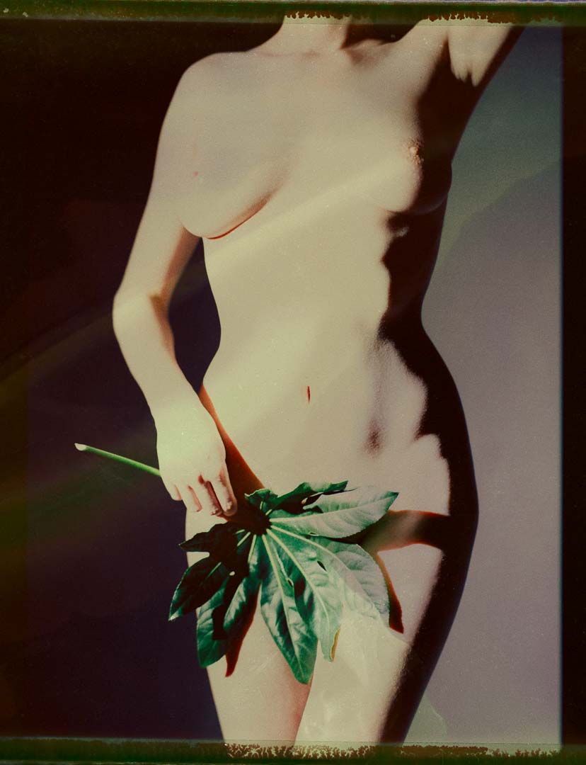 Torso. Polaroid Fuji FP-100C Negativ Fuji GX 680III