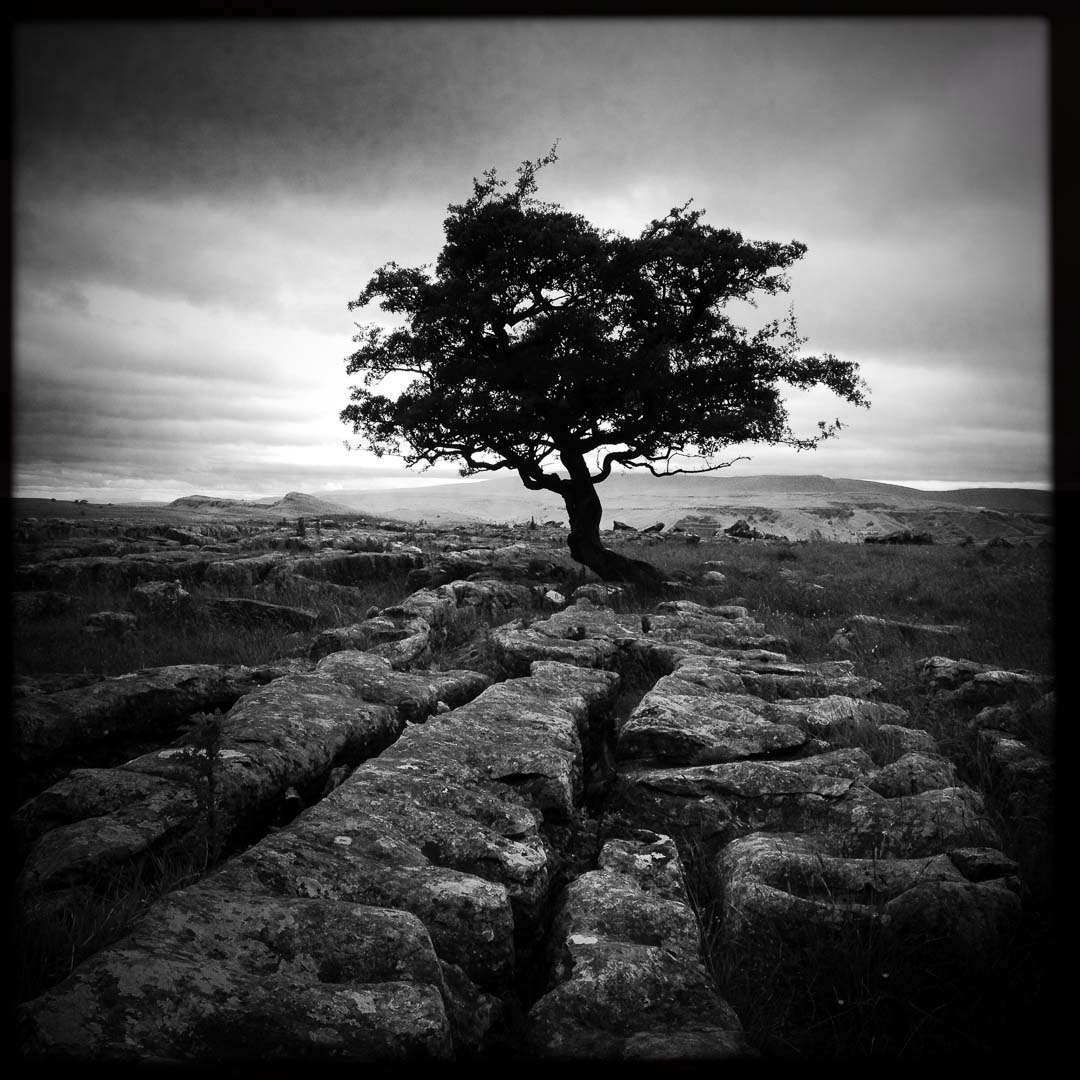 Windscale, Lake District. Die Seele der Landschaft.