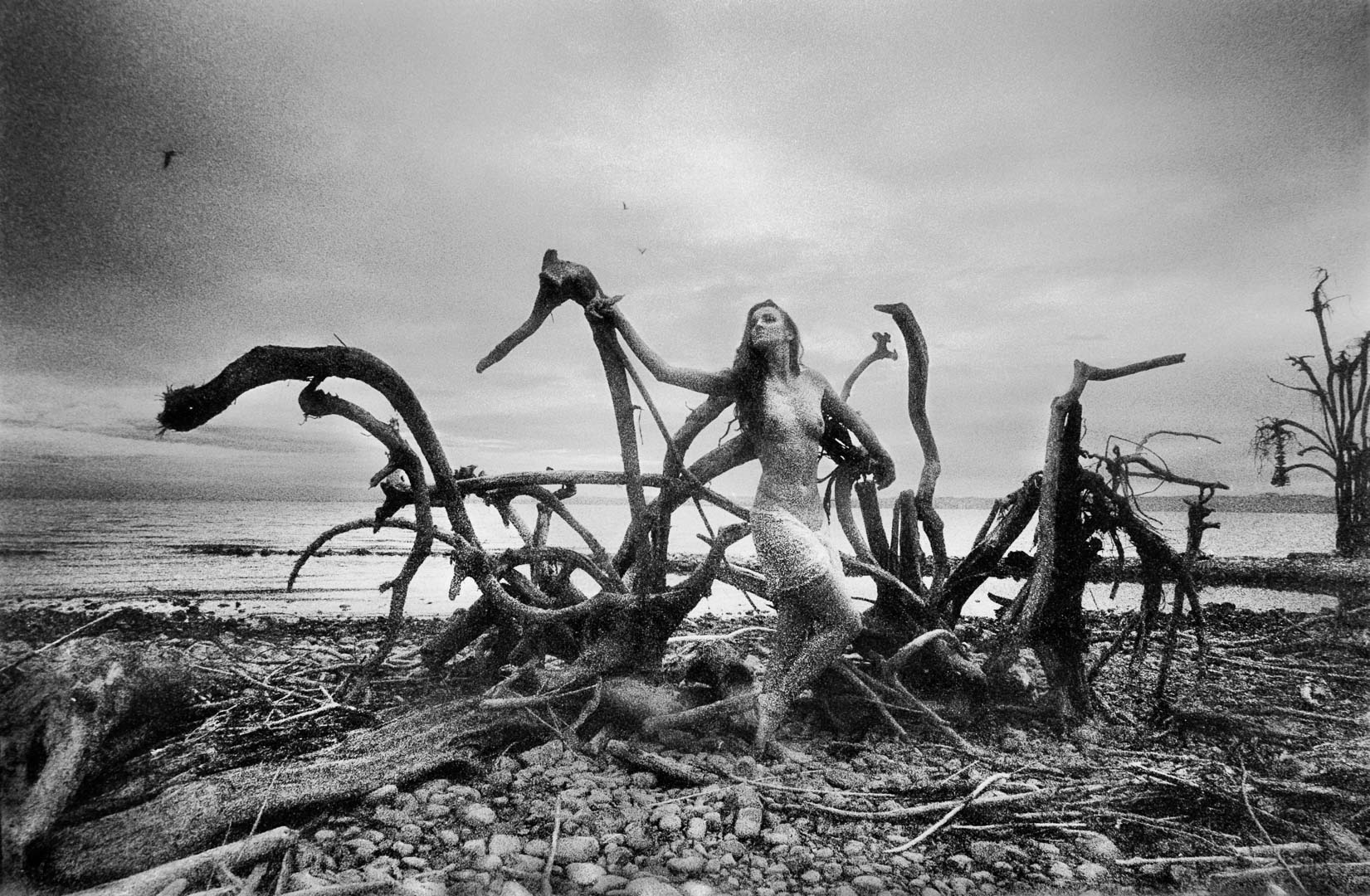 Aufnahme auf Kodak High Speed Infrarotfilm mit Contax G2 und Biogon 2,8/21