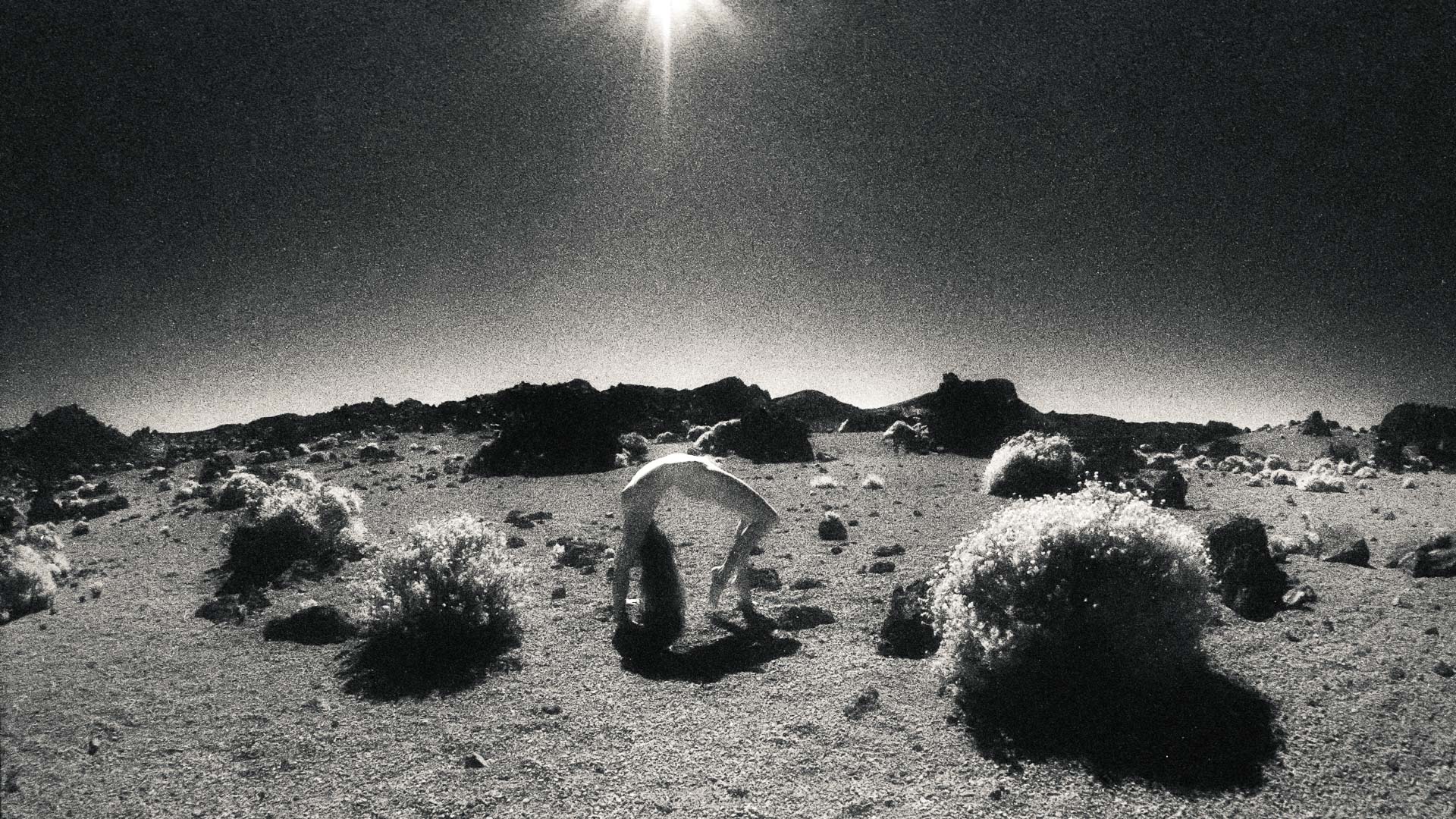 Flora. Aktfotografie auf Kodak High Speed Infrarotfilm. Nikon F5 mit 2,8/16