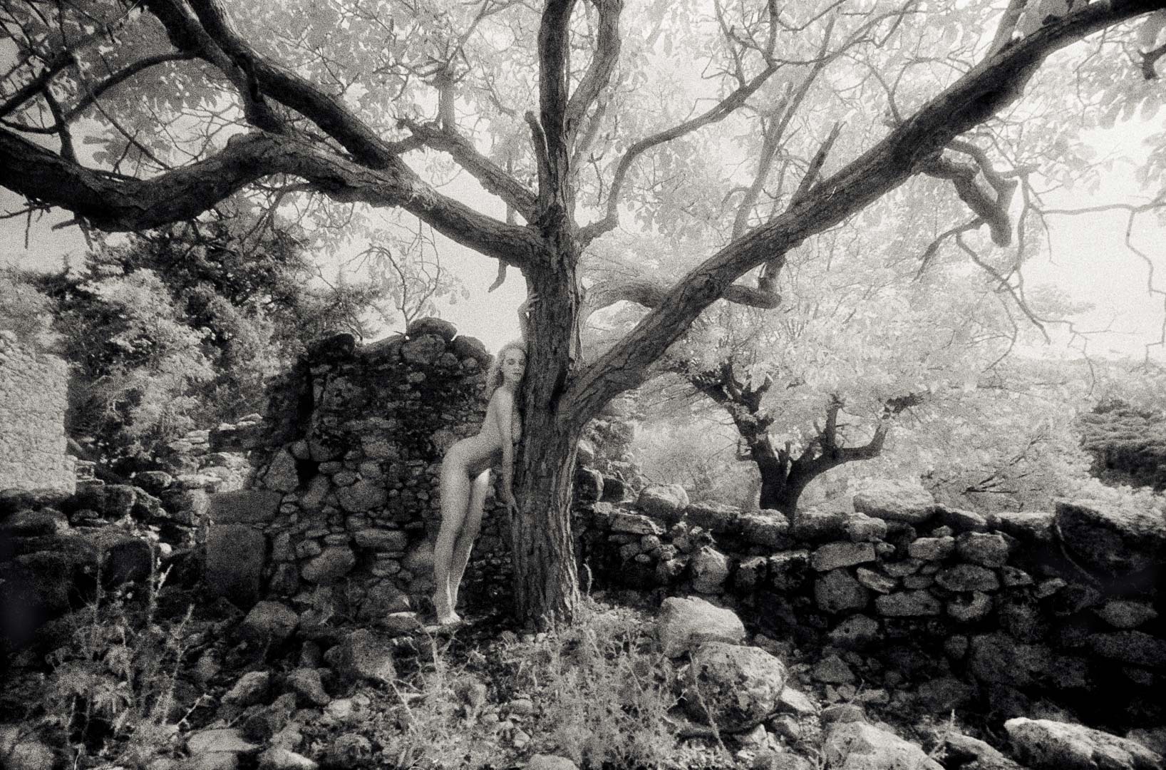 EVE. Aktfotografie auf Kodak High Speed Infrarotfilm. Contax RX mit Distagon 4/18